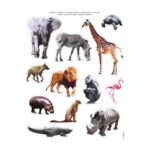 Stickers Savannah animals 2 16621-apli-kids