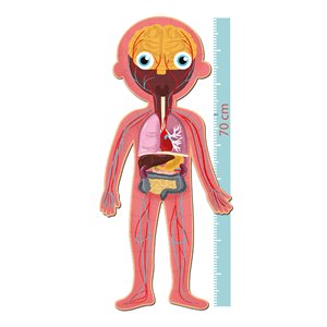 Human Body Puzzle - Image 3