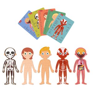 Human Body Puzzle - Image 4