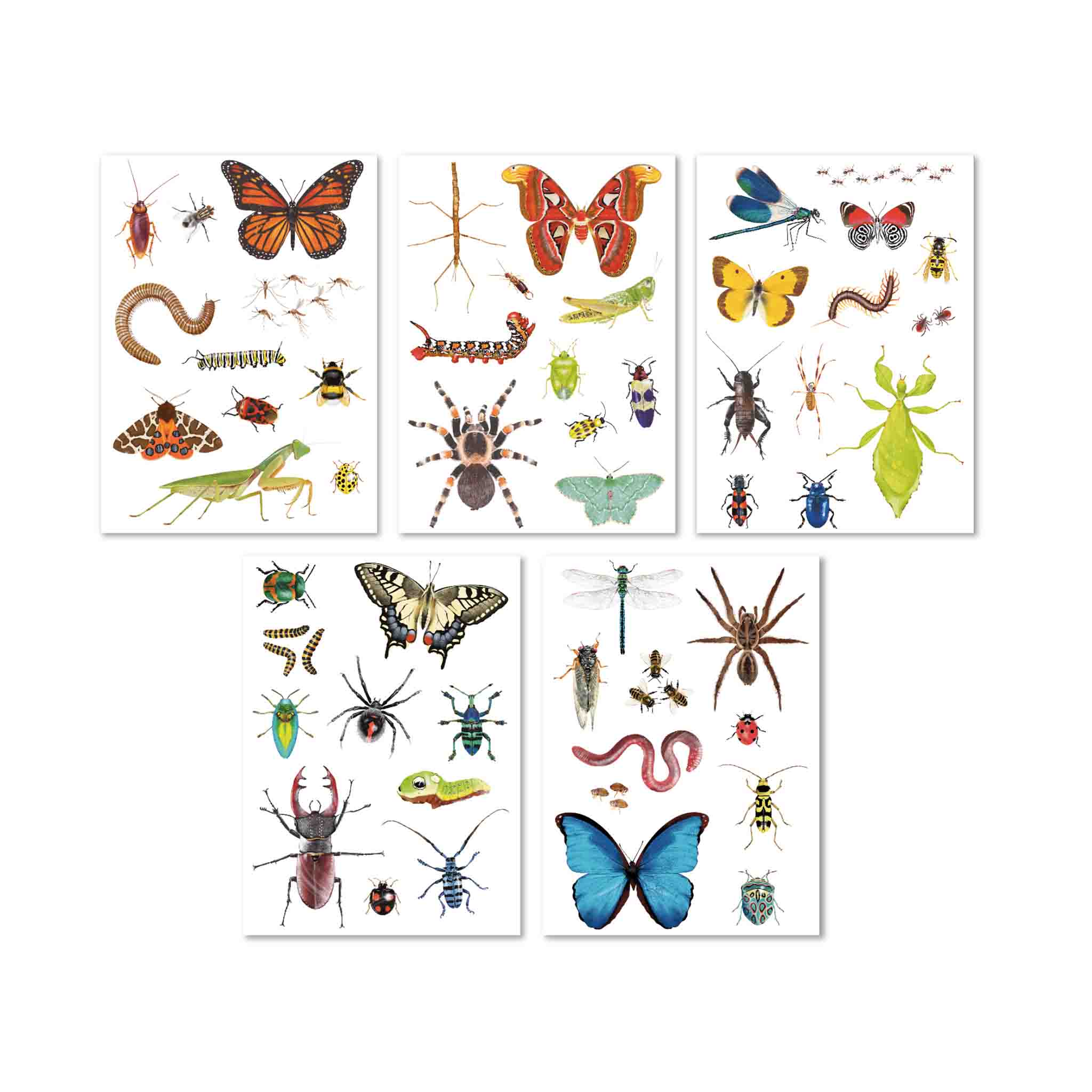 Stickerset Insectenwereld 2 tmp8FDC